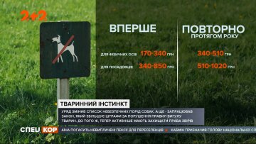 Опасные собаки, фото: скриншот из видео