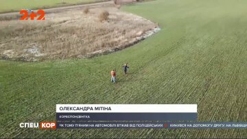 фото: скриншот из видео