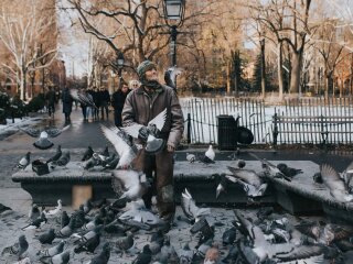 Бездомные, Вести