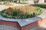 У Франківську квіткові терористи залишили городян без клумби