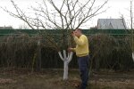 Обрезка дерева, скриншот: Youtube