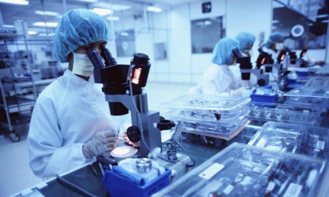 Молекулярна "машина часу" показала випадковості еволюції