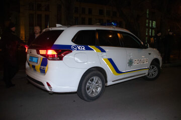 Замовне вбивство матері і доньки під Києвом: копи схопили підозрюваного, "допомагала дружина"