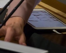 Як замглави Ради купувала в парламенті колготки