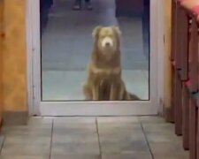 Саллі, кадр з відео