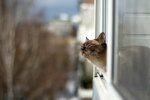 Погода в Україні, фото з pxhere