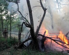 Що від нас приховують: які небезпеки таїть пожежа у Чорнобилі