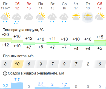 Погода в Киеве, скриншот: meteofor.com.ua