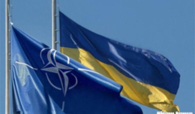 П'ять трастових фондів НАТО розпочнуть роботу в Україні
