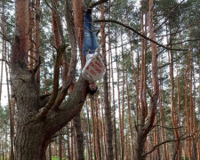 Фото: телеграм-канала "Инсайдер"