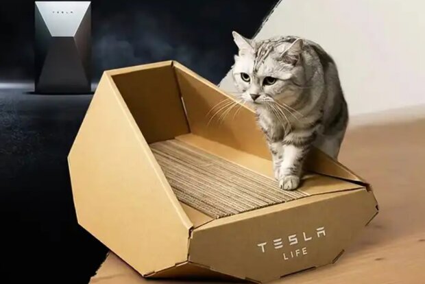 Лоток для кішок у стилі Tesla, скріншот: X