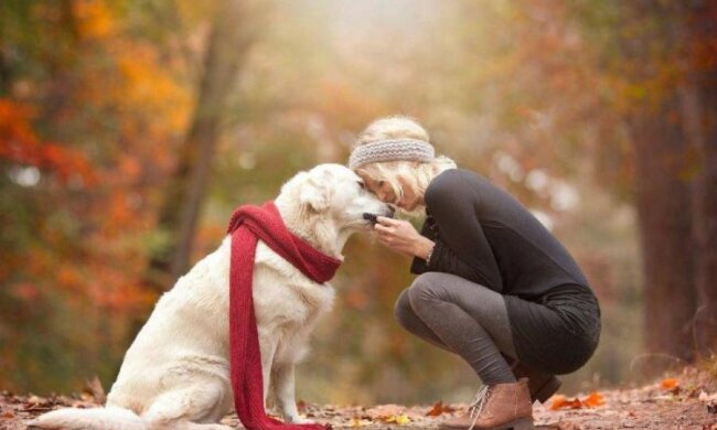 Google подбає про фото вашого улюбленця