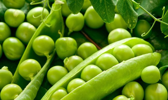 10 февраля: какой сегодня праздник