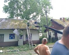 Буковиною пронісся надпотужний ураган - диявольський вітер, повалені дерева і річки замість вулиць