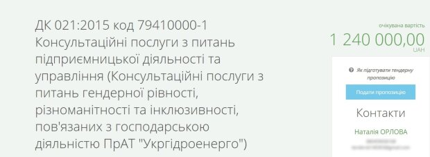 Licitación para la compra de Ukrhidroenergo, foto: captura de pantalla Prozorro
