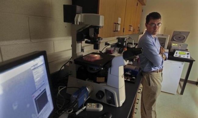 Ученые научили факс печатать вирусы