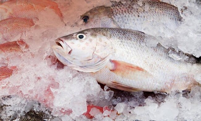 Вы делаете это неправильно: 3 способа разморозки рыбы, которые сохранят вкус и текстуру