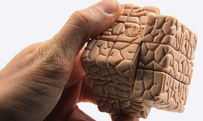 Рух думки зняли на відео