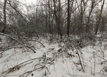 Зима, мороз - фото Знай.ua