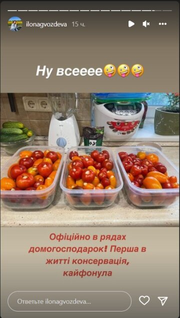 Пост Илоны Гвоздевой. Фото: скрин instagram stories