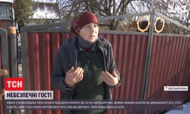 На Хмельнитчине жуткие твари держат в страхе целые села: боятся даже дышать