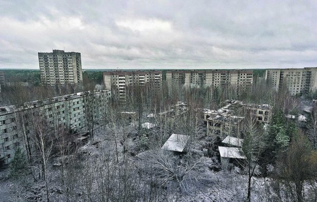 Чернобыль превратился в заповедник редких видов: уникальные животные заполонили город-призрак