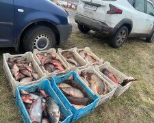 незаконний вилов риби