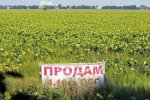 рынок земли, фото: Needpix