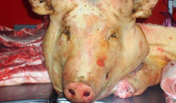  У Самарі спалили 100 тонн свинини: думали з ЄС, виявилася з Бразилії