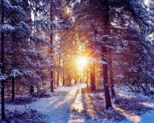 Зима не здається: люті морози накриють Україну