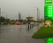 Зламані дерева та побиті машини - Львів пішов під воду після несамовитої грози