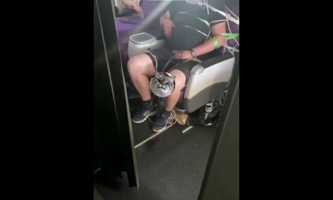 "Пісяючий хлопчик", скріншот: Telegram