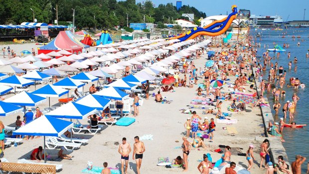 Любимый курорт украинцев взяли в плен опасные существа, люди бегут с пляжей: "Ими усеяно все"