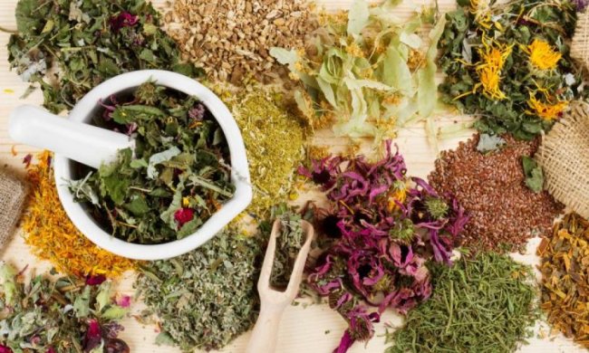 А вы знали? Эти травы уберегут от простуды