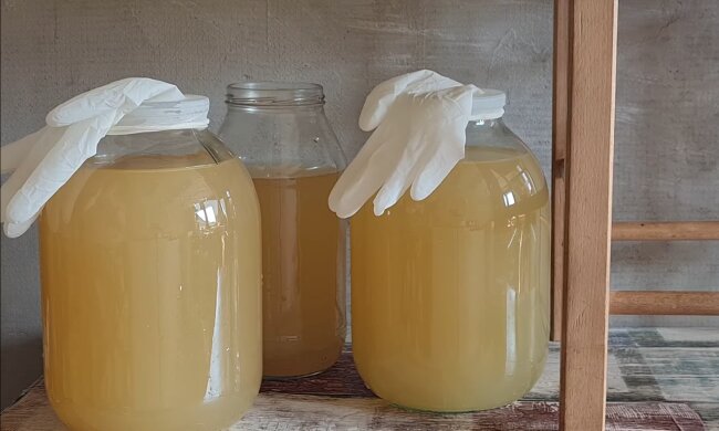 Вино из одуванчиков, фото Знай.ua