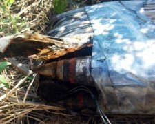 Рибалка виловив вибухівку в Слов'янську