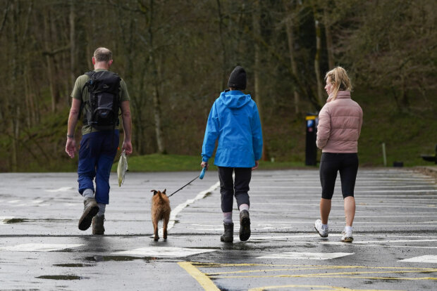 Прогулка с псом, фото: Getty Images