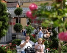 Прогноз на понедельник: погода готовит украинцам сюрприз