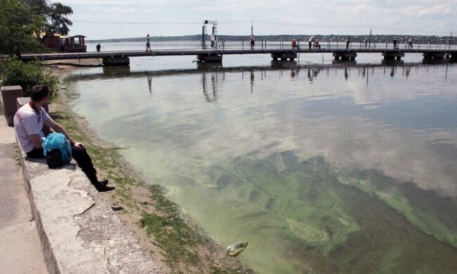 Смертельно небезпечна риба з'явилася в українській річці