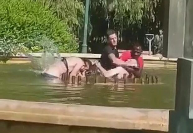 Мужчина пытался утопить женщину в фонтане, кадр из видео