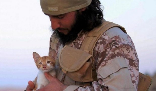 ИГИЛ будет вербовать котят