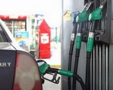 Цена на бензин растет из-за жадности заправок