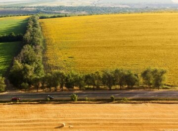 Земельний податок в Україні: гроші та документи