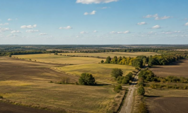 Земельна ділянка, поле, оренда землі