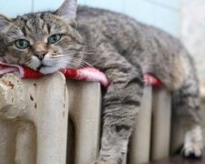 Регіони почнуть опалювальний сезон у різний час