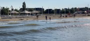 Из Кирилловки резко исчезли медузы, смело ныряйте в море - жалить некому