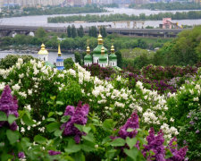 Погода в квітні покатає українців на американських гірках: синоптики розповіли про "сюрпризи"