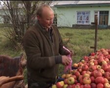 фермер / скриншот из видео