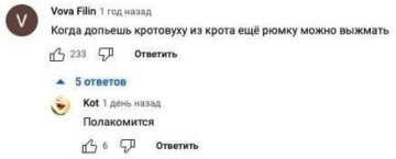 Мем на кротовуху, скриншот