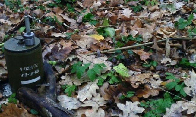 Двоє бійців підірвалися на вибухівці в Золотому